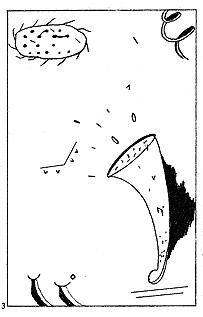 page 6 - 20.8 K - ACTUAL SIZE - Click to enlarge