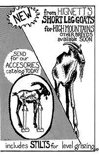 page 19 - 35.4 K - ACTUAL SIZE  - Click to enlarge