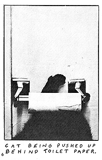 page 6 - 20.8 K - ACTUAL SIZE - Click to enlarge