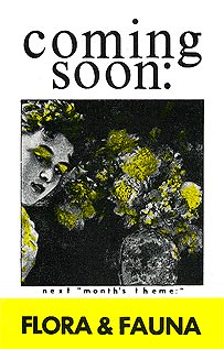 page 24 - 23.1 K - ACTUAL SIZE - Click to enlarge