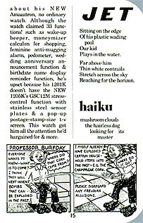 page 15 - 31.9 K - ACTUAL SIZE  - Click to enlarge