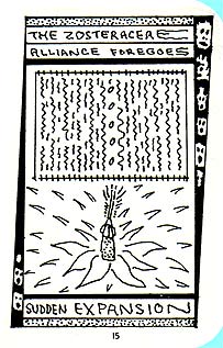 page 15 - 31.9 K - ACTUAL SIZE  - Click to enlarge