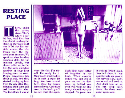 page 12-13 - 53.3 K - ACTUAL SIZE - Click to enlarge