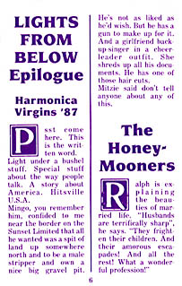 page 6 - 20.8 K - ACTUAL SIZE - Click to enlarge