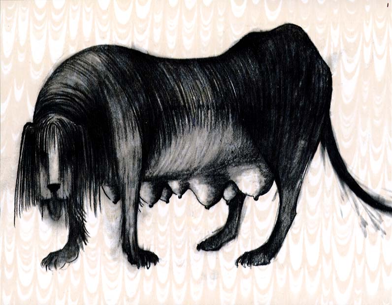 pages 12 - 13 - 135.1 K