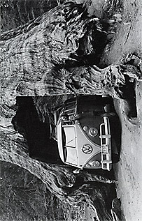 page 6 - 20.8 K - ACTUAL SIZE - Click to enlarge