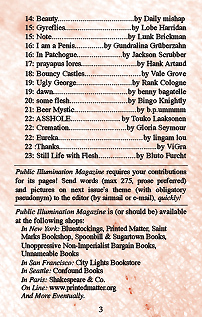 page 3 - 96.9 K - ACTUAL SIZE  - Click to enlarge