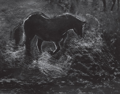 page 12-13 - 53.3 K - ACTUAL SIZE - Click to enlarge