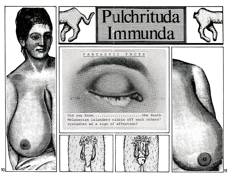 pages 10 - 11 - 135.1 K