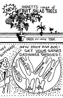 page 19 - 35.4 K - ACTUAL SIZE  - Click to enlarge