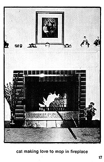 page 17 - 20.8 K - ACTUAL SIZE  - Click to enlarge