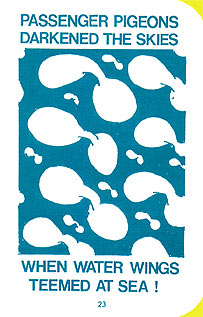 page 23 - 28.6 K - ACTUAL SIZE  - Click to enlarge