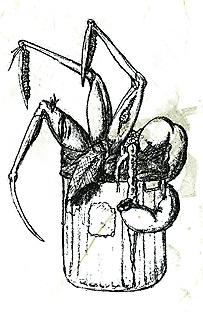 page 16 - 32.2 K - ACTUAL SIZE - Click to enlarge